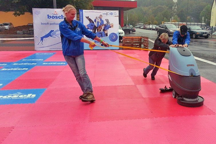 Hundesportboden - der Bodenbelag für Indoor-Hundesport